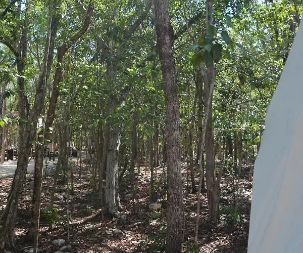 Glamping Mayan Glam