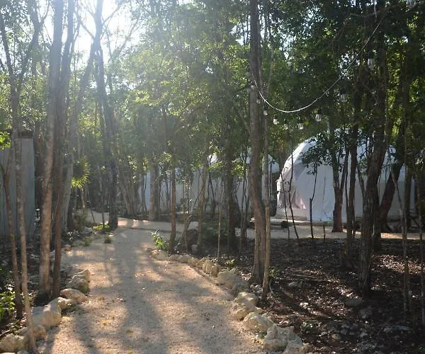 Tenda de luxo Glamping Mayan Glam