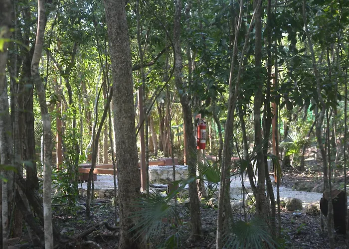 Glamping Mayan Glam *